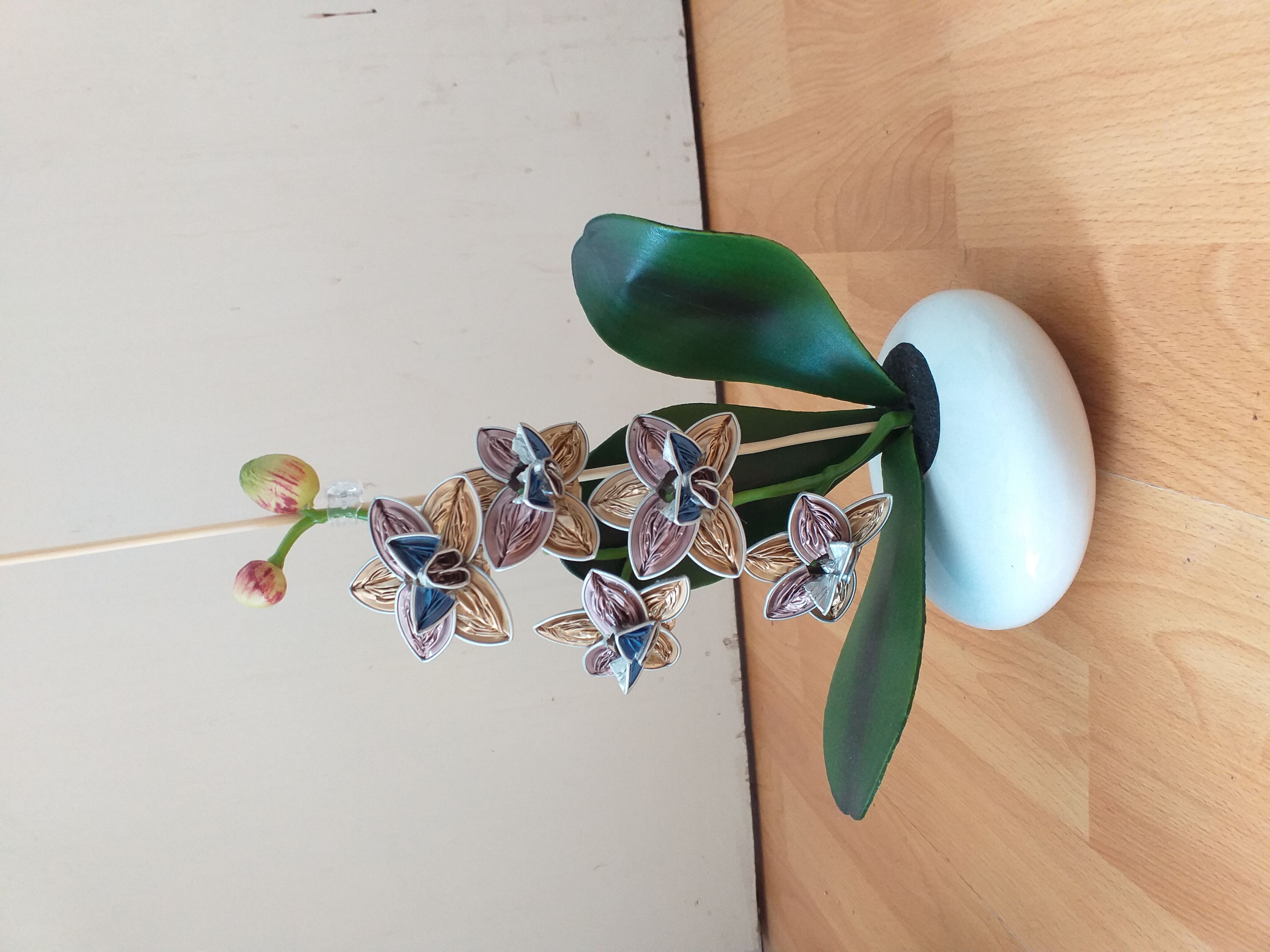 assets/Orchidee-klein-blau-rose-gold.jpg